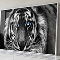 Quadro Decorativo Olhar Hipnotizante do Tigre Pureza da Selva