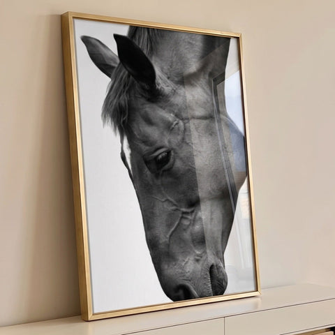 Quadro Decorativo Essência da Força Equina, Vintage e Impacto