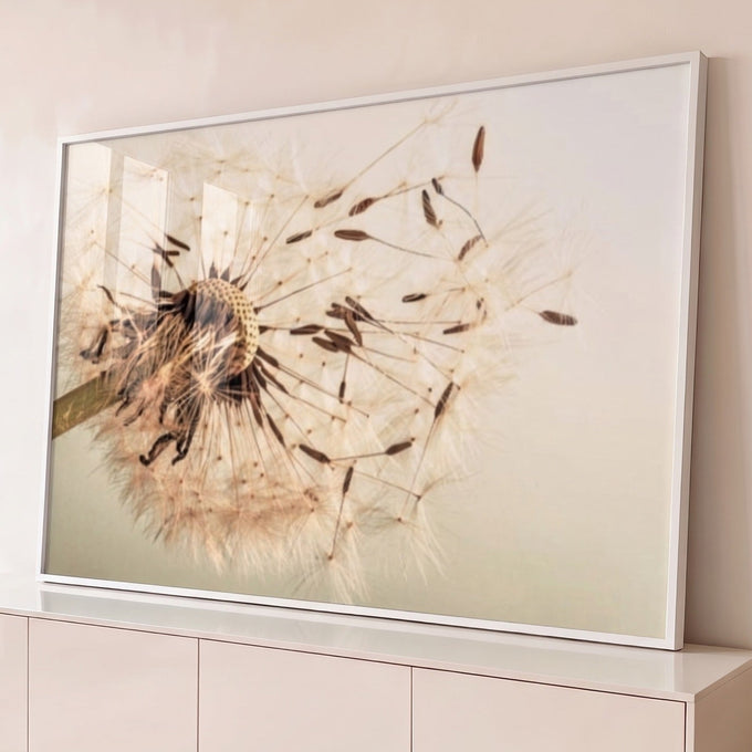 Quadro Decorativo Encanto Sutil Dente de Leão