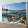 Vista meio submersa com cardume de peixes sobre rochas e gaivotas no céu azul, quadro decorativo