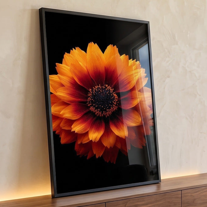 Flor laranja e vermelha de miolo escuro com pétalas em degradê sobre fundo preto, quadro decorativo