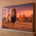 Leão de juba farta em pé na savana dourada sob céu rosa ao pôr do sol, quadro decorativo