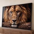 Quadro Decorativo Leão Majestoso com Olhos Âmbar em Fundo