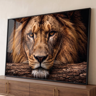 Quadro Decorativo Leão Majestoso com Olhos Âmbar em Fundo