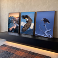 Quadro Decorativo Kit 3 Telas Águia e Montanhas para Sala | quadros decorativos para sala | águia voando e pousada em galho nevado, com montanha ao pôr do sol | em Quadros para Sala | Porao dos Quadros