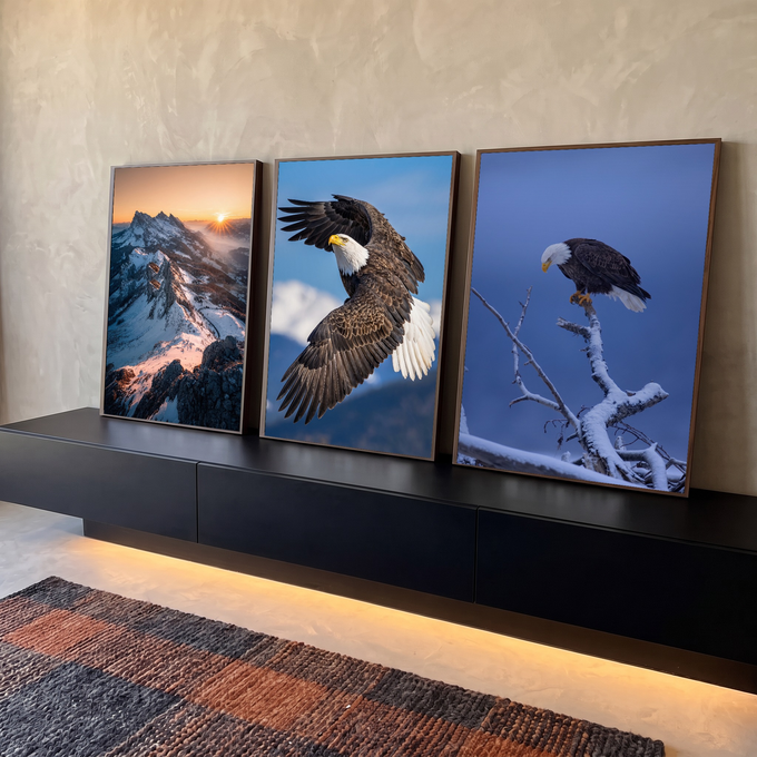 Quadro Decorativo Kit 3 Telas Águia e Montanhas para Sala | quadros decorativos para sala | águia voando e pousada em galho nevado, com montanha ao pôr do sol | em Quadros para Sala | Porao dos Quadros