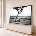 Leão africano de juba escura em pé no capim alto sob acácia na savana, em preto e branco, quadro decorativo