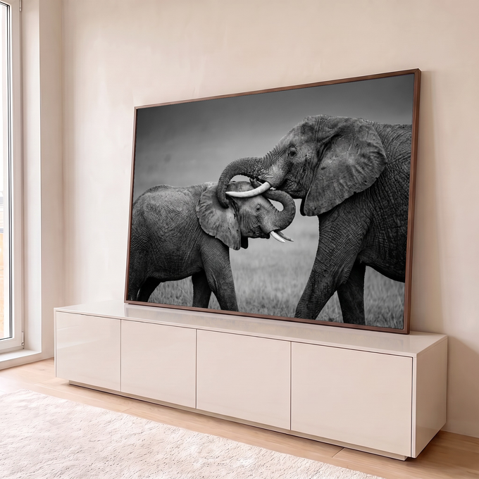 Quadro Decorativo Grande Elefantes se para Sala Preto | quadros decorativos para sala | dois elefantes em preto e branco entrelaçando as trombas em gesto afetuoso | em Quadros para Sala | Porao dos Quadros