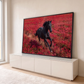 Cavalo preto galopando em campo de flores vermelhas levantando poeira, quadro decorativo