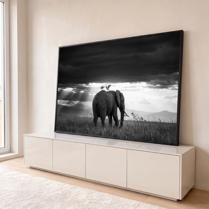 Elefante com duas garças nas costas sob céu escuro e raios de luz na savana, quadro decorativo