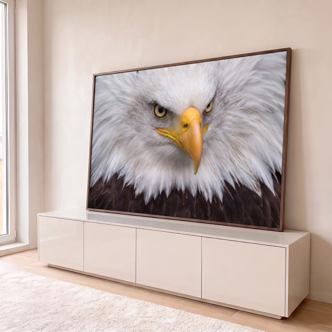 Close de águia-de-cabeça-branca com olhar fixo, bico amarelo e penas brancas, quadro decorativo