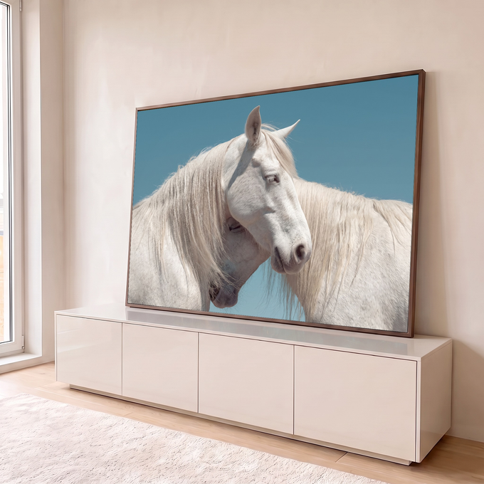 Quadro Decorativo Grande Cavalos Brancos se para Sala Azul | quadros decorativos para sala | dois cavalos brancos encostando as cabeças, crinas ao vento, fundo céu azul | em Quadros para Sala | Porao dos Quadros