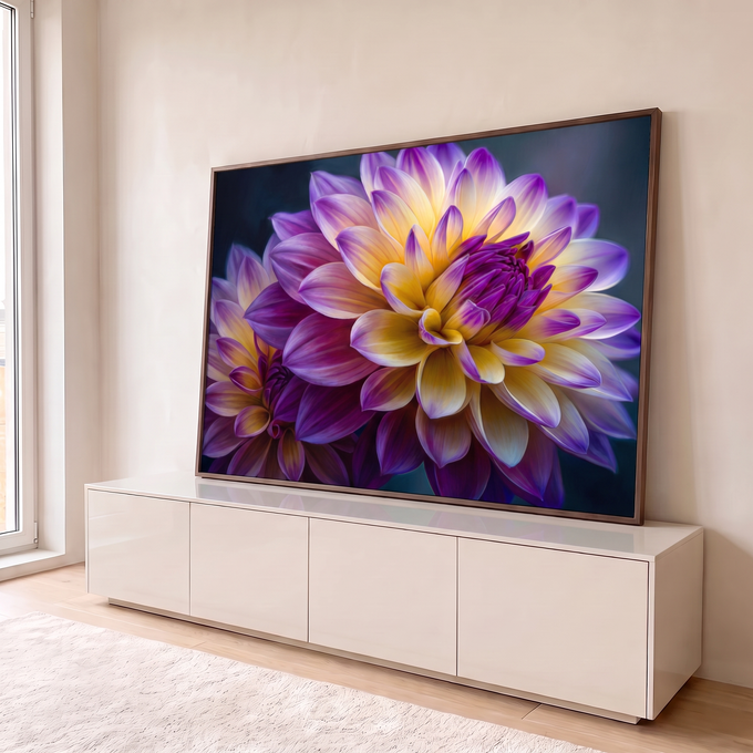 Quadro Decorativo Grande Dália Roxa e Amarela para Sala Roxo | quadros decorativos para sala | close de dália roxa e amarela com pétalas em degradê e botão central fechado | em Quadros para Sala | Porao dos Quadros