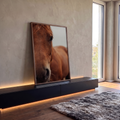 Close fotográfico do rosto de cavalo castanho com olho escuro e focinho em destaque, quadro decorativo