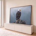 Águia americana de cabeça branca pousada em rocha com fundo de neblina cinza, quadro decorativo