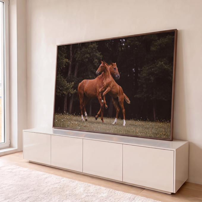 Dois cavalos alazões brincando em campo florido com floresta escura ao fundo, quadro decorativo