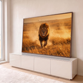 Leão de juba farta avançando de frente na savana dourada, poeira no ar ao entardecer, quadro decorativo