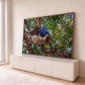 Casal de araras-azuis abraçadas em galho de árvore entre folhagem verde e flores amarelas, quadro decorativo