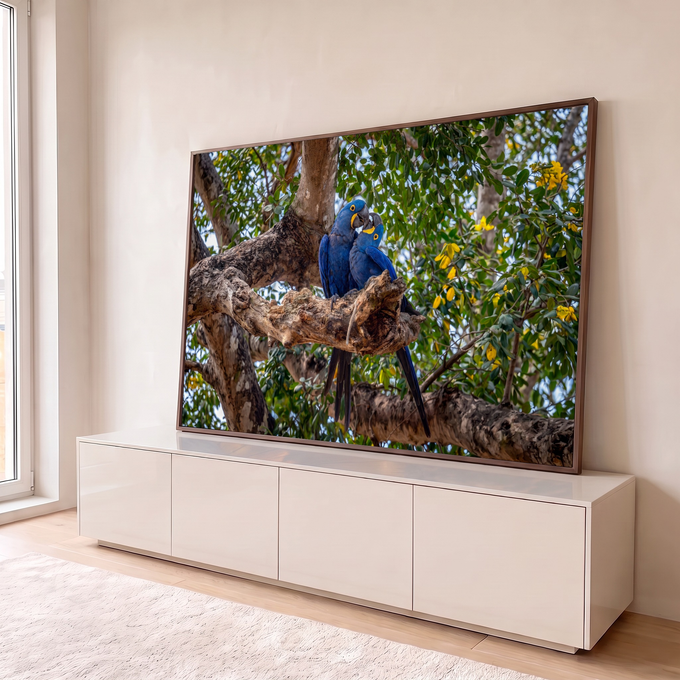 Casal de araras-azuis abraçadas em galho de árvore entre folhagem verde e flores amarelas, quadro decorativo
