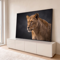 Leoa de perfil com pelagem dourada e olhos âmbar sobre fundo cinza-escuro, quadro decorativo
