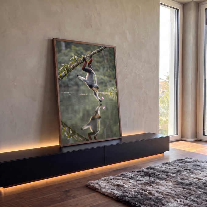 Macaco langur pendurado em galho tocando flor rosa sobre lago com reflexo na água, quadro decorativo