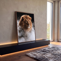 Leão de juba dourada e olhar âmbar envolto em fumaça branca sobre fundo preto, quadro decorativo