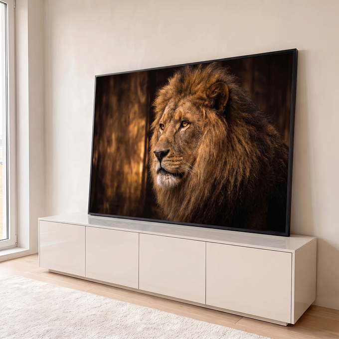 Quadro Decorativo Grande Leão Juba Dourada para Sala | quadros decorativos para sala | retrato de leão com juba dourada e olhar fixo sobre fundo escuro | em Quadros para Sala | Porao dos Quadros
