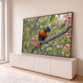 Lóris arco-íris colorido pousado em galho de eucalipto com flores rosa e folhas verdes, quadro decorativo