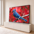 Pássaro gaio-azul pousado em galho seco com fundo vermelho de outono desfocado, quadro decorativo