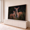 Quadro Decorativo Grande Filhotes de Antílope para Sala | quadros decorativos para sala | dois filhotes de antílope nyala com listras brancas em fundo de floresta escura | em Quadros para Sala | Porao dos Quadros