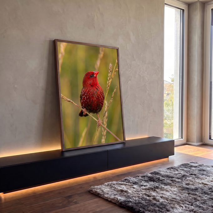 Pássaro vermelho com pintas brancas pousado em haste de capim sobre fundo verde desfocado, quadro decorativo