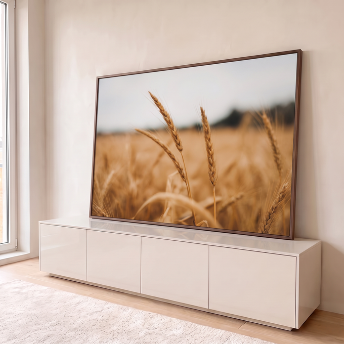 Quadro Decorativo Grande Espigas de Trigo Dourado para Sala | quadros decorativos para sala | espigas de trigo douradas em close-up com campo desfocado ao fundo | em Quadros para Sala | Porao dos Quadros