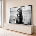 Leão de frente com a juba ao vento na savana, em fotografia preto e branco, quadro decorativo