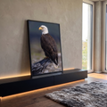 Águia de cabeça branca de perfil pousada em tronco seco com fundo desfocado, quadro decorativo
