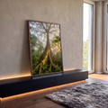 Quadro Decorativo Grande Árvore da Vida para Sala Verde | quadros decorativos para sala | árvore gigante com raízes tabulares cobertas de musgo em floresta com neblina e raios de sol | em Quadros para Sala | Porao dos Quadros