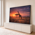 Girafa ao lado de acácia na savana africana, com sol se pondo e céu laranja e roxo, quadro decorativo