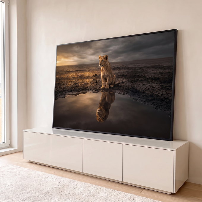 Filhote de leão na savana de terra rachada vendo o reflexo de um leão adulto na água, quadro decorativo