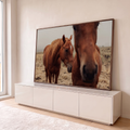 Dois cavalos alazões de crina dourada, um em close, em campo seco com neblina, quadro decorativo