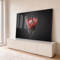 Flor protea-rei em tons de rosa e coral com folhas verde-acinzentadas sobre fundo cinza escuro, quadro decorativo