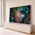 Leopardo com olhar fixo entre troncos de árvore, com folhagem e luz azul desfocada, quadro decorativo