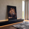 Fotografia de leão deitado com juba volumosa e olhos âmbar sobre fundo preto, quadro decorativo
