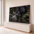 Pantera negra de olhos amarelos agachada à beira de riacho entre pedras com musgo, quadro decorativo