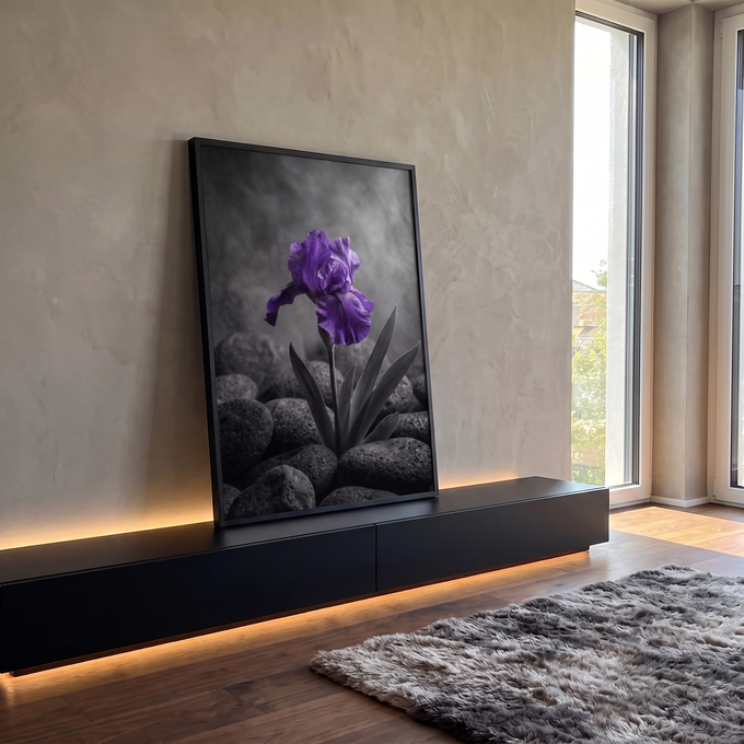 Flor íris roxa em destaque entre pedras escuras sobre fundo cinza em preto e branco, quadro decorativo