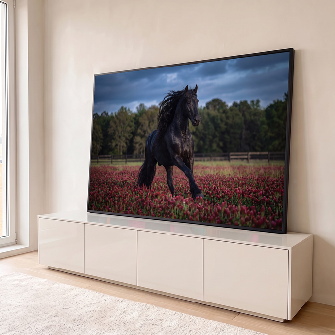 Quadro Decorativo Grande Cavalo Correndo Preto para Sala | quadros decorativos para sala | cavalo preto de crina longa correndo em campo de flores vermelhas sob céu nublado | em Quadros para Sala | Porao dos Quadros