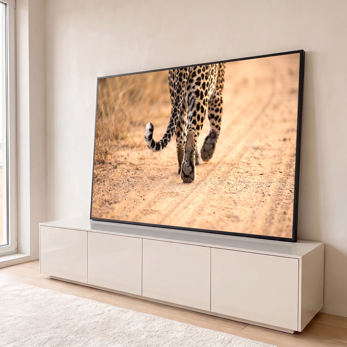 Quadro Decorativo Grande Leopardo Caminhando para Sala Bege | quadros decorativos para sala | leopardo visto de trás caminhando em estrada de terra com cauda enrolada | em Quadros para Sala | Porao dos Quadros