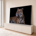 Tigre deitado com olhar altivo para o alto, listras laranja e fundo preto, fotografia quadro decorativo