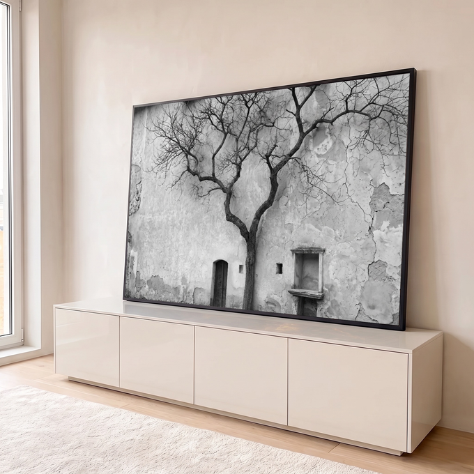 Árvore seca de galhos retorcidos diante de parede antiga descascada em preto e branco, quadro decorativo
