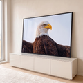 Pintura realista de águia-de-cabeça-branca de perfil com asas abertas e céu claro, quadro decorativo