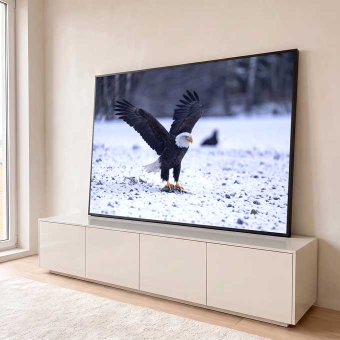 Quadro Decorativo Grande Águia de Asas Marrom para Sala | quadros decorativos para sala | águia-de-cabeça-branca com asas abertas sobre neve e pedras | em Quadros para Sala | Porao dos Quadros