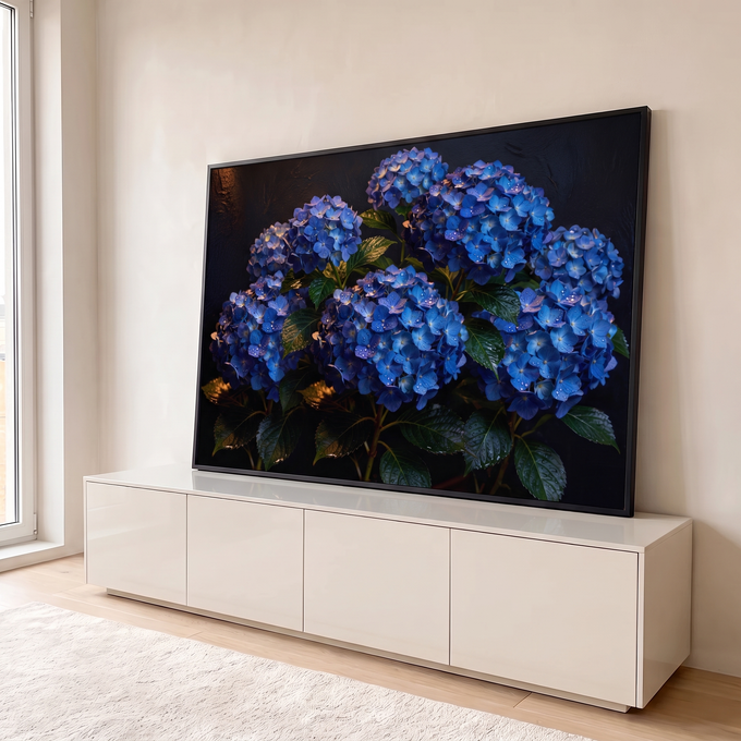 Quadro Decorativo Grande Hortênsias Azuis para Sala Azul | quadros decorativos para sala | hortênsias azuis com gotas de água sobre fundo preto texturizado | em Quadros para Sala | Porao dos Quadros